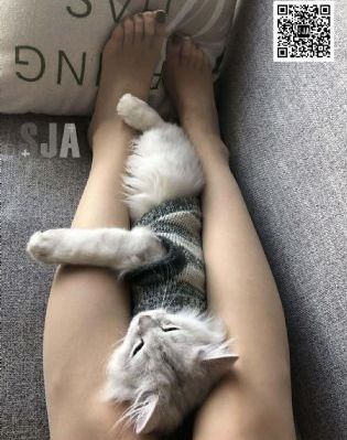 极速特工_BD国语超清免费观看